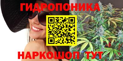 apvp Партизанск