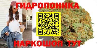 apvp Партизанск