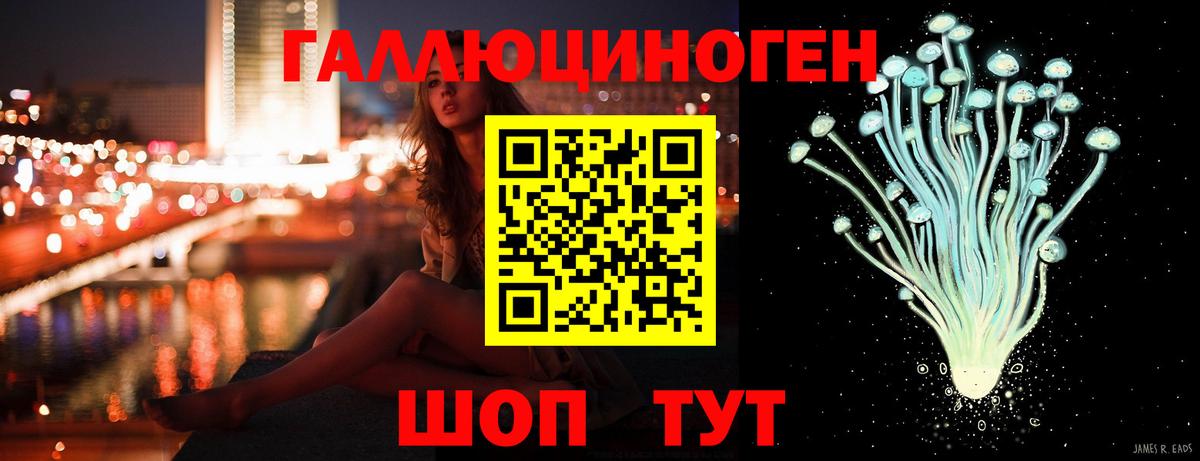 Псилоцибиновые грибы Psilocybe Тобольск